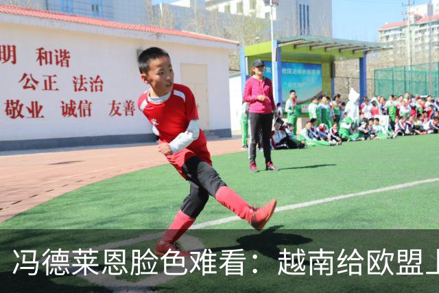 冯德莱恩脸色难看：越南给欧盟上了一课：什么叫 “中国力量”